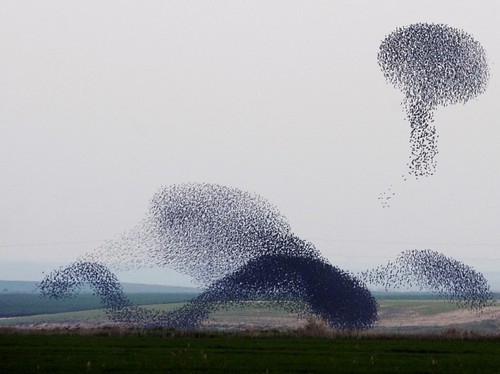 04d96d8180eea5e4243ea96f6af32acd_h