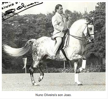 Sois ton propre cheval