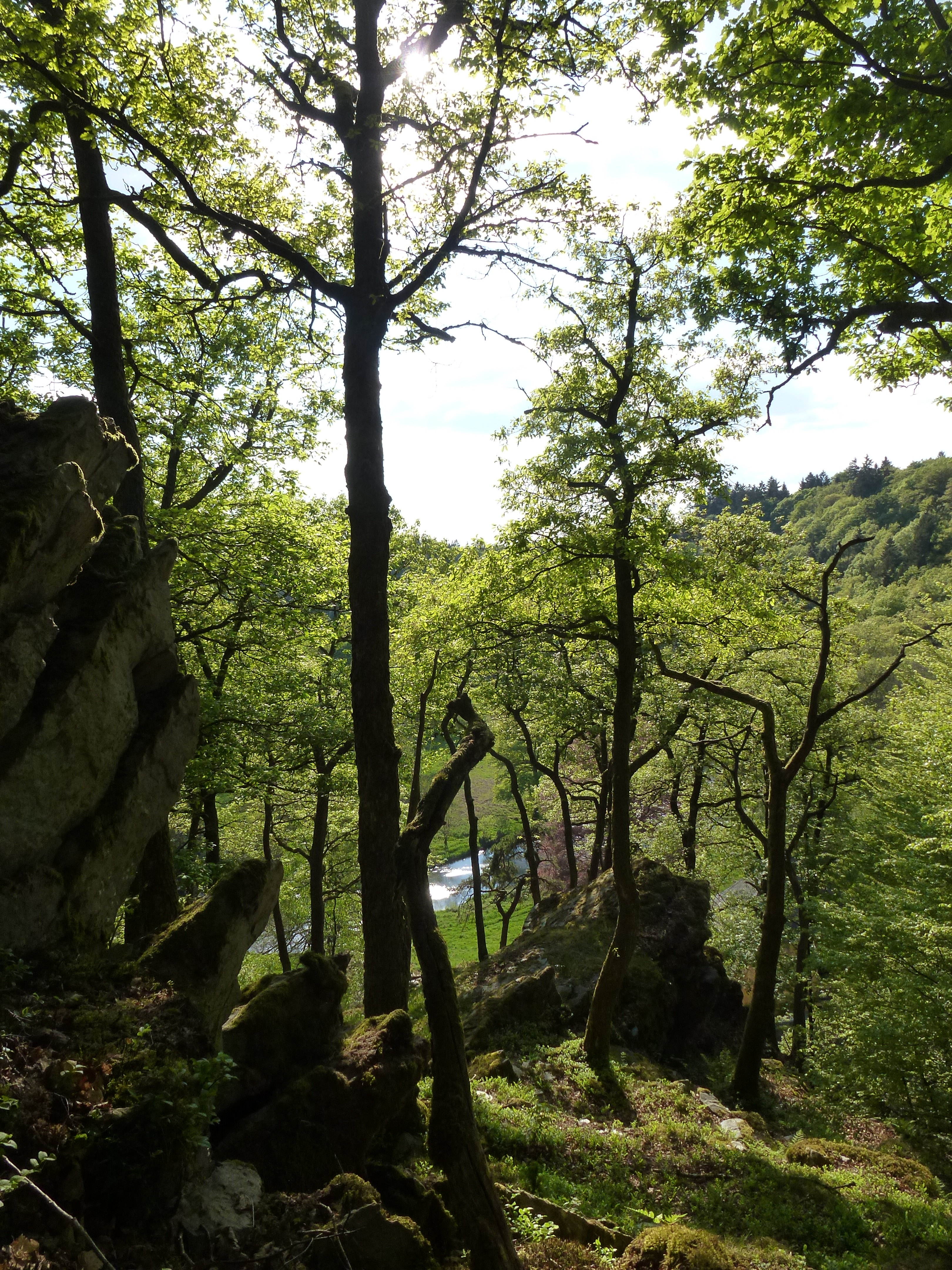 « Hypno/art éch ctre résid nature »
