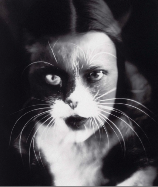 capture-decran-2017-01-04-a-17-14-23